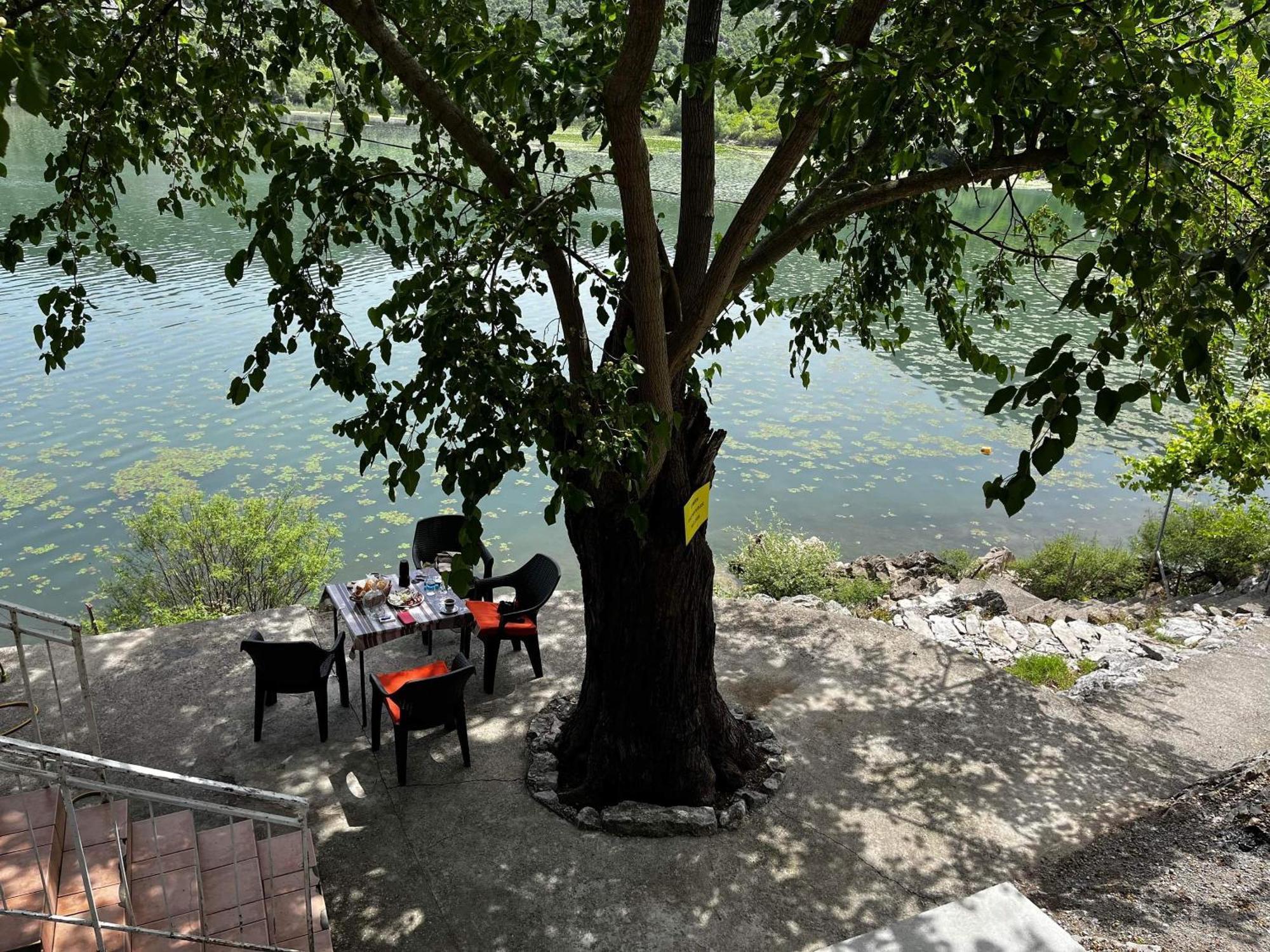Lakeview Apartments Jolicic Virpazar Dış mekan fotoğraf